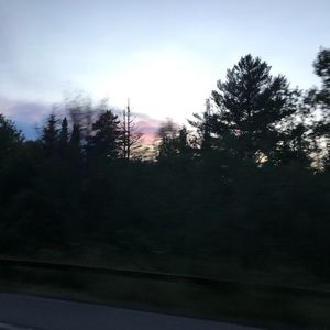 Meet your Posher, Madi